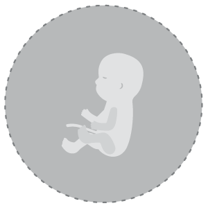 Baby Development