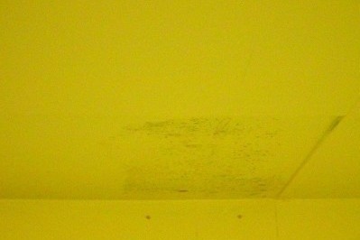 Dampness in Fish Rooms