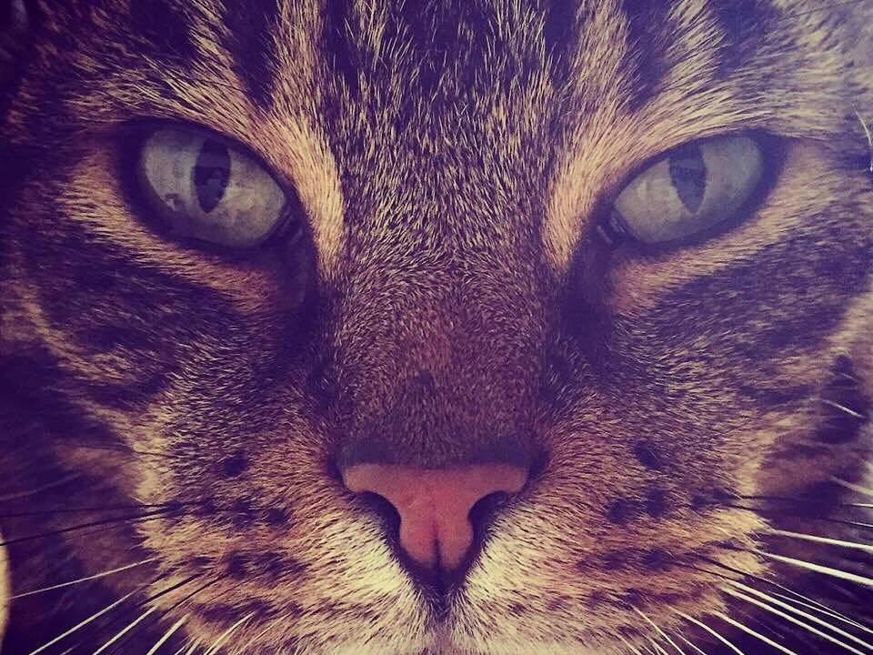 Harry