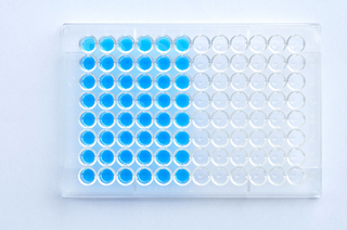 Anti GAD ELISA in Diabetes Research