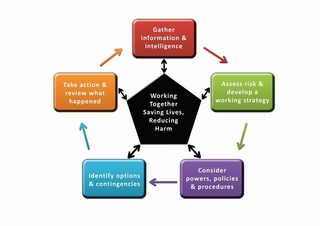 Decision Making Module in CLIO