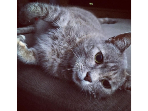 Missy