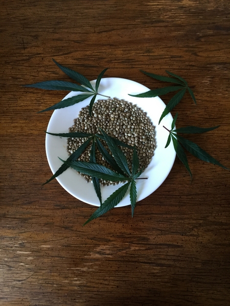 My Hemp Addiction