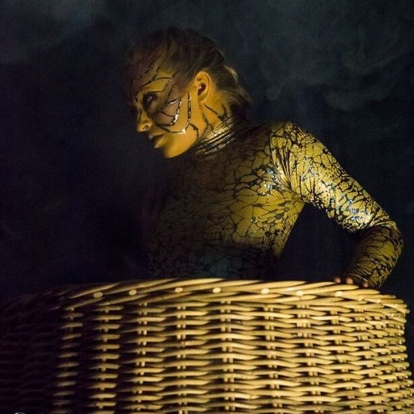 Wicker Snake Basket