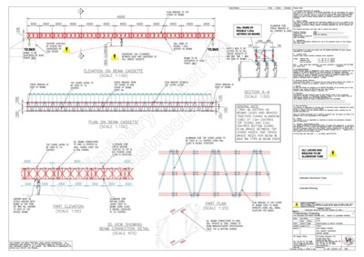 Scaffold Design