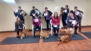 Kennel Club Good Citizen Bronze Silver and Gold 7pm 2022 dates to be decided/ facebook
