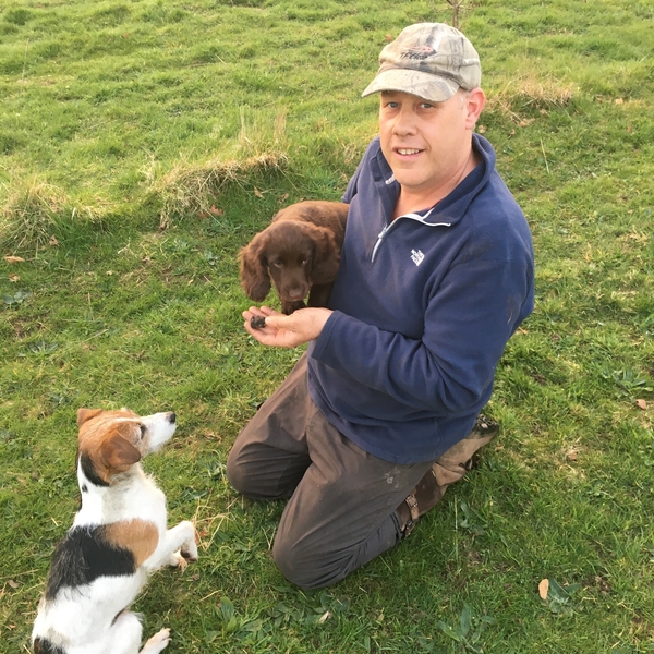 First perigord truffle cultivated in the uk found on Welsh Farm
