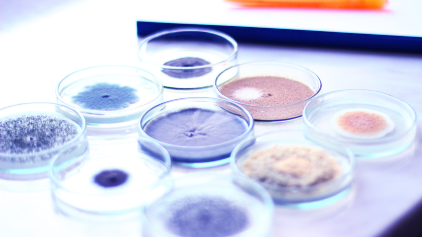 Life Sciences