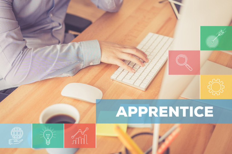 Careers Education Consultant, Ofsted Inspection Careers, Statutory Guidance Careers