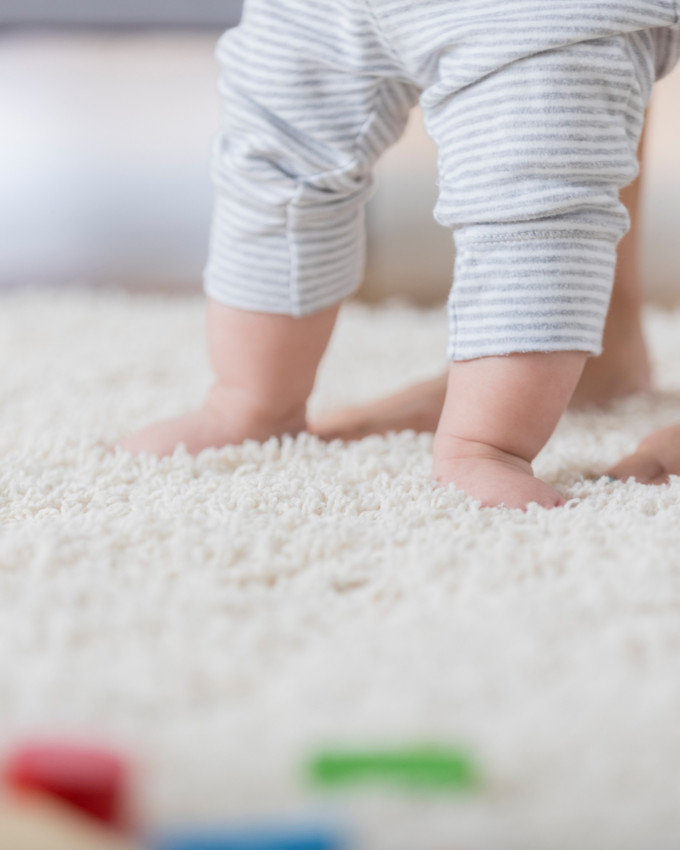 Carpet Cleaning Hereford, Upholstery Cleaning Hereford, Carpet Cleaning Herefordshire
