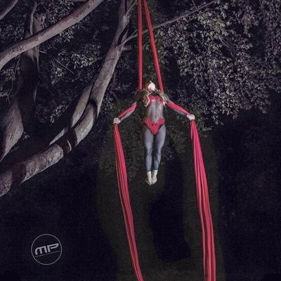 Aerial artists