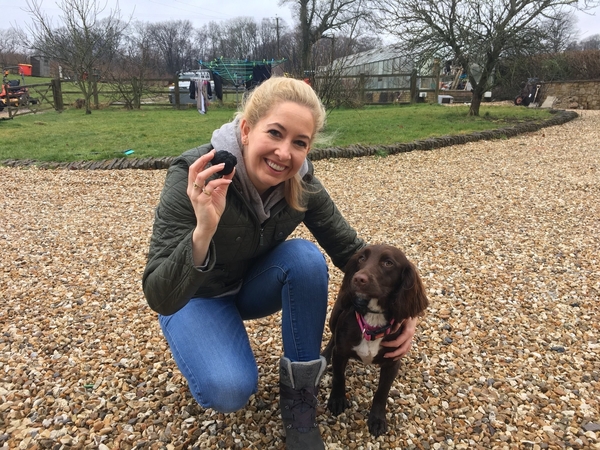 BBC RADIO 4 FARMING TODAY WELSH TRUFFLE HUNT WITH MARICLARE CAREYJONES