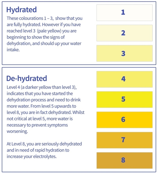 Why Optimising Hydration is so Important