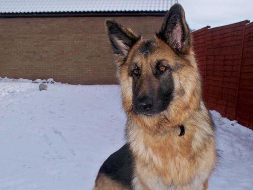Roxy