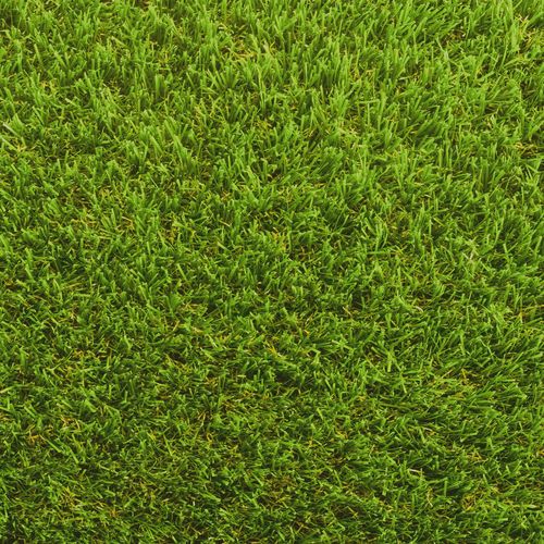 Artificial Grass Shop Buy Low Cost Artificial Turf Online PermaLawn