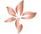 Hypnotherapy Kent, CBT Kent, Therapy Kent