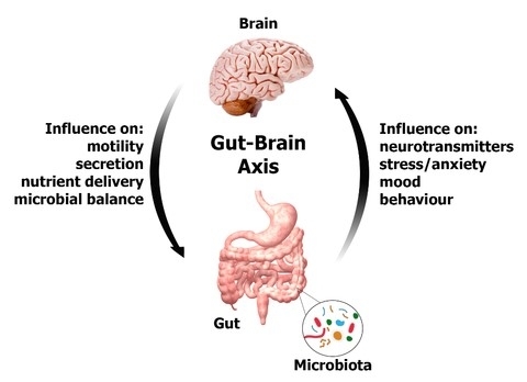 How Does Food Affect Your Mood?