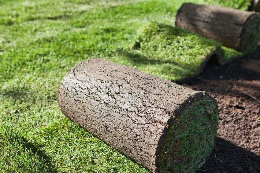 Lawns & Artificial Grass