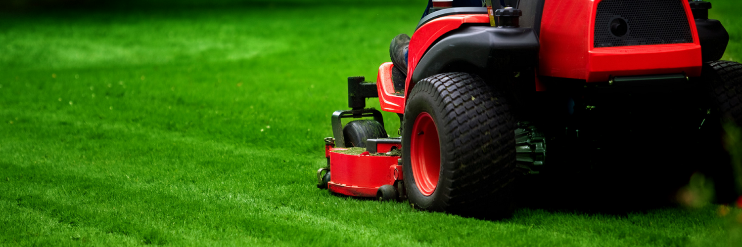 Garden Maintenance