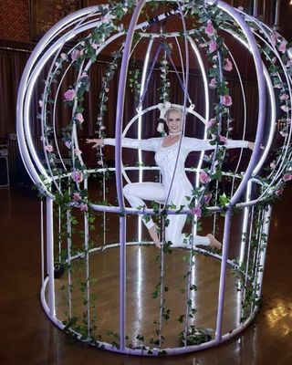 Giant Bird Cage