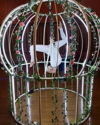 Giant Bird Cage