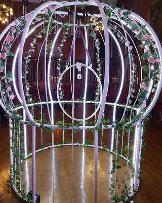 Giant Bird Cage