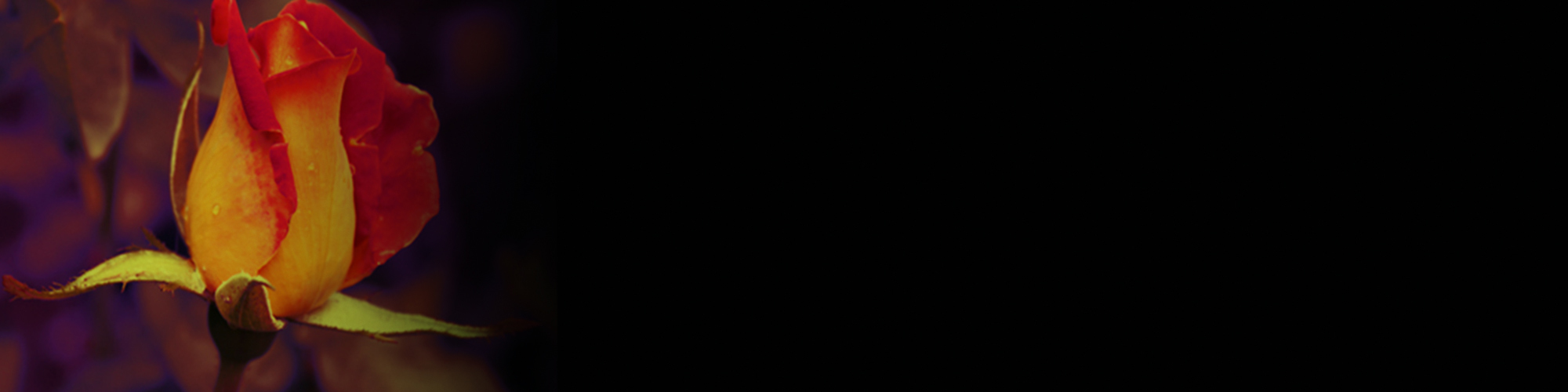 Psychosynthesis distant image