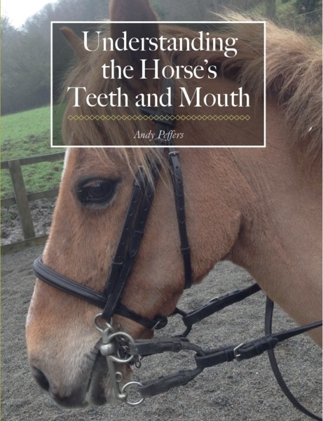 Andy's Book!