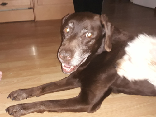 Max