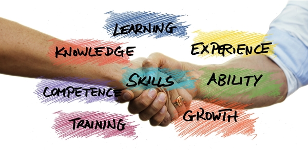 What Employers Want - The role of LMI