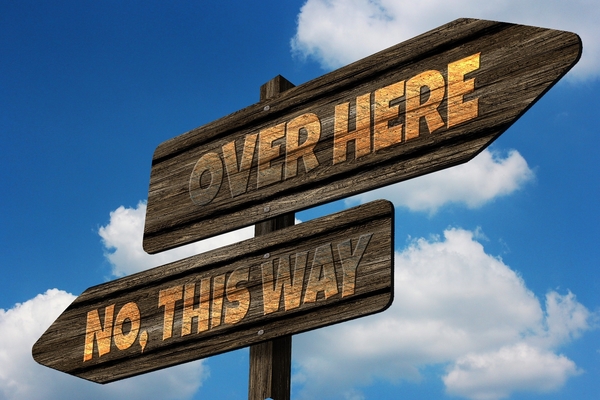 Decision Making Skills in Teenagers - Are we expecting too much?
