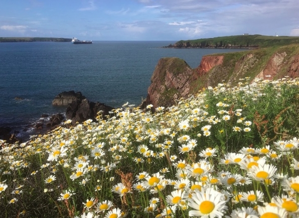 Way of St David
