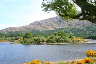 The Green Isle