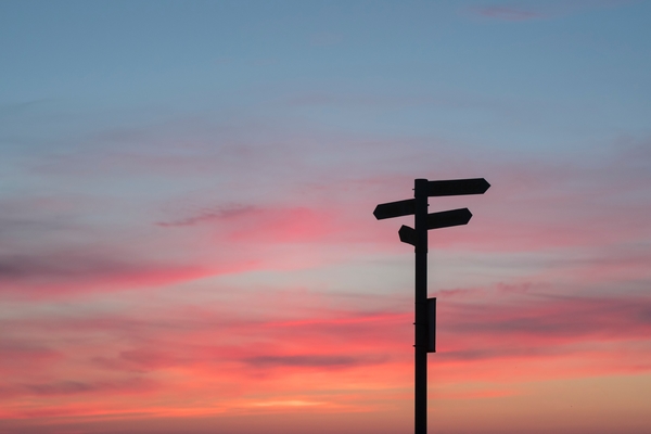 Level 4 Apprenticeship Standard for Commercial Procurement or the stand-alone study programme. Which route is best?