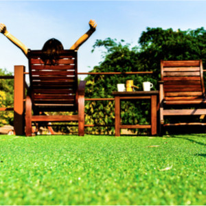 How Artificial Grass Can Save the Planet