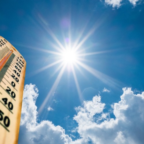Heatwave Information and Advice