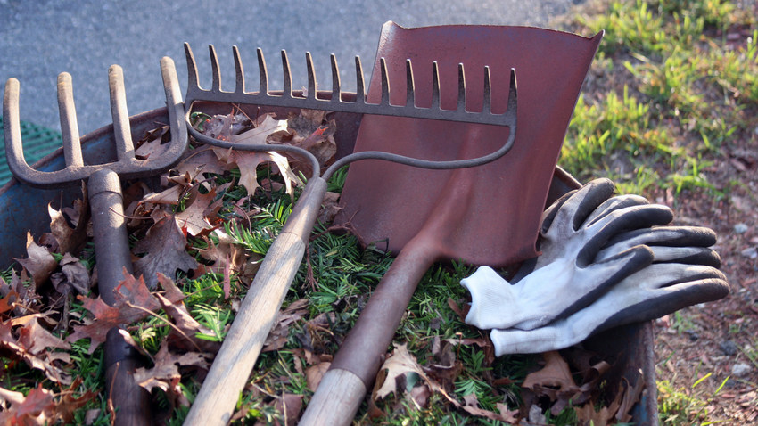 Garden clearances