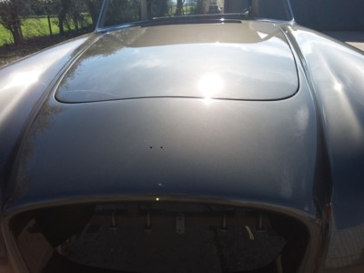 Body Work & Paint