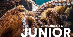 Junior Art Director