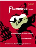 Flamenco Guitar