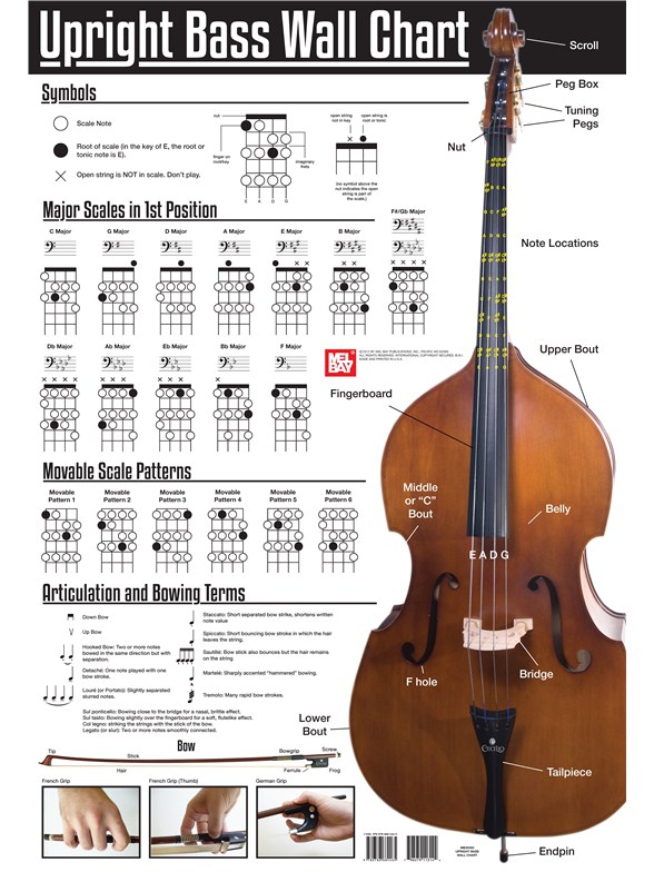 stringed bass range