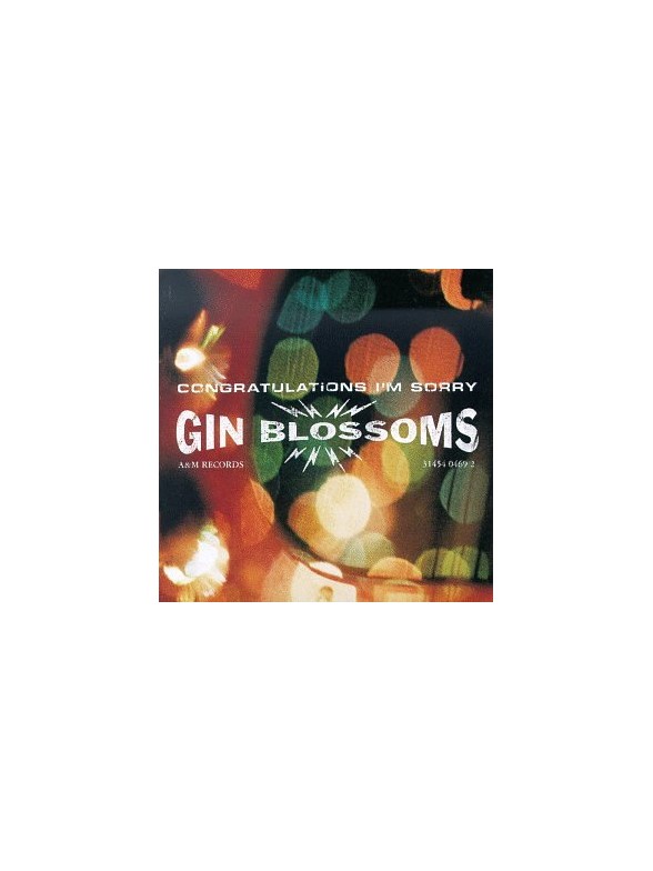 Download Gin Blossoms Digital Sheet Music and Tabs