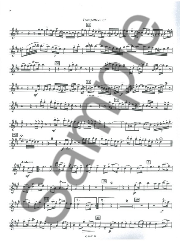 Flute Manufacturers