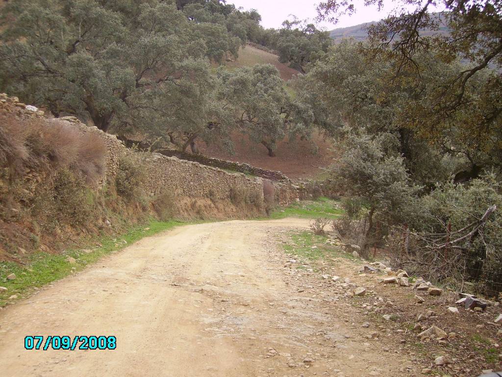 En la Sierra de Aracena. Camino al Cerromolinos (1)