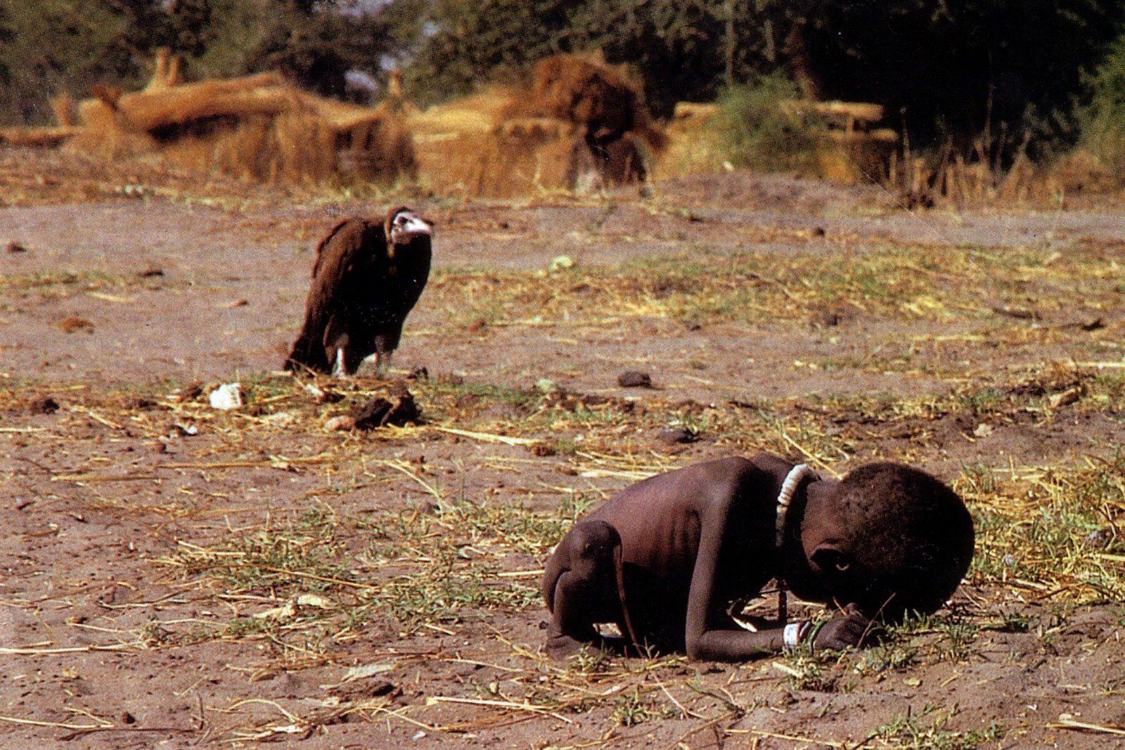 El buitre y la niña de kevin Carter