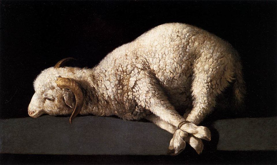 Agnus Dei de Zurbarán