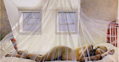 La pintura de los días por Demetrio Reigada: Hoy, con el bello sueño de Andrew Wyeth La pintura de los días por Demetrio Reigada: Hoy, con el bello sueño de Andrew Wyeth