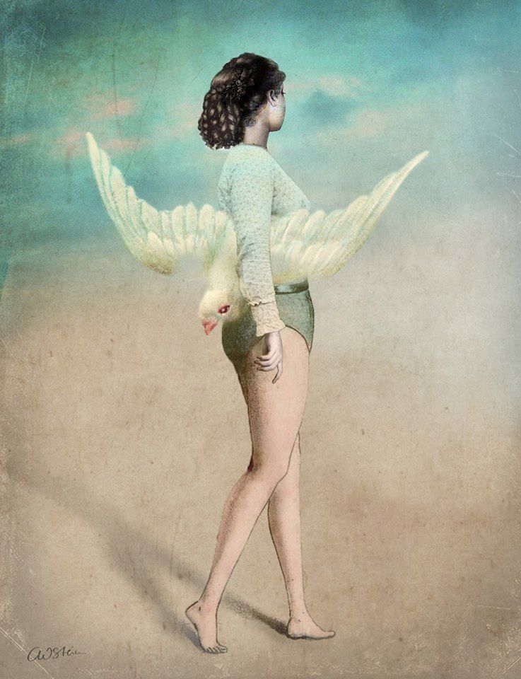 Catrin Welz-Stein 4