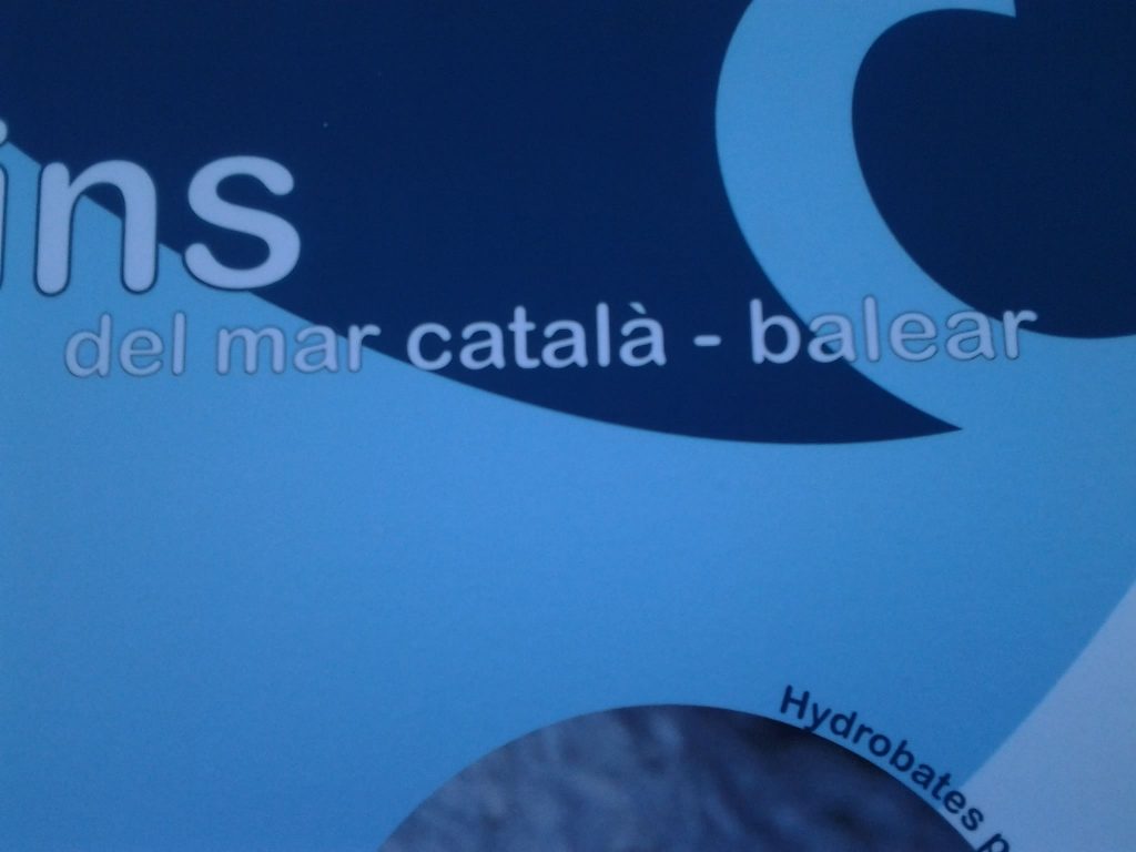 Detalle del panel informativo