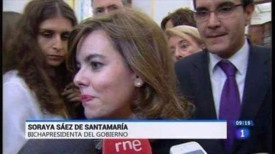 Bichapresidenta del gobierno
